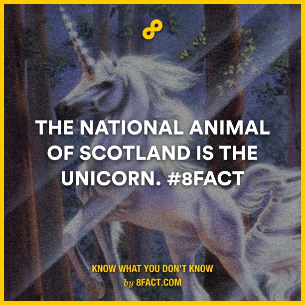 The-national-animal-of-Scotlan.jpg