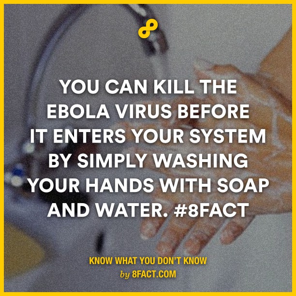 You-can-kill-the-Ebola-virus-b.jpg