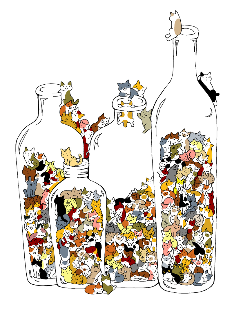 art-cats-bottle-1472285.jpeg
