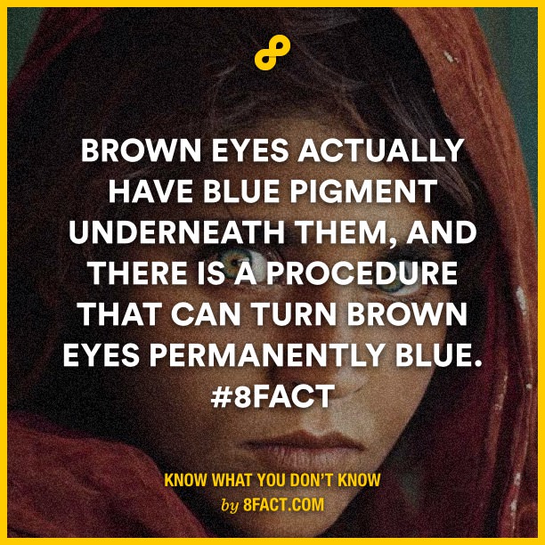 Brown-eyes-actually-have-blue-.jpg