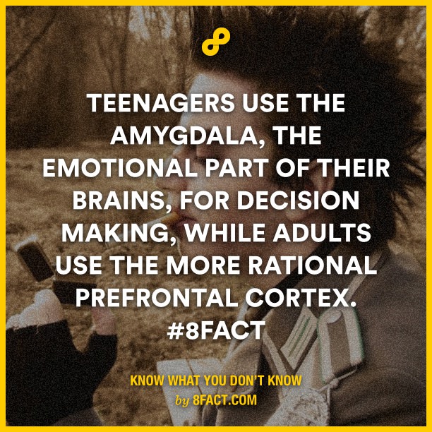 Teenagers-use-the-amygdala-the.jpg