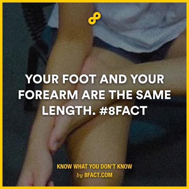 Your-foot-and-your-forearm-are.jpg