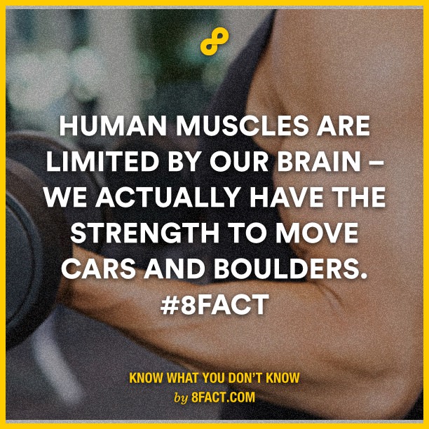 Human-muscles-are-limited-by-o.jpg