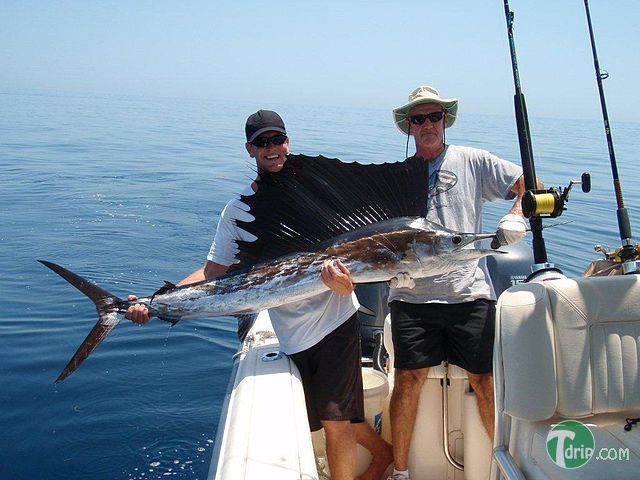 WIDTTF_640px-Two_men_holding_a_freshly_caught_sailfish.jpg