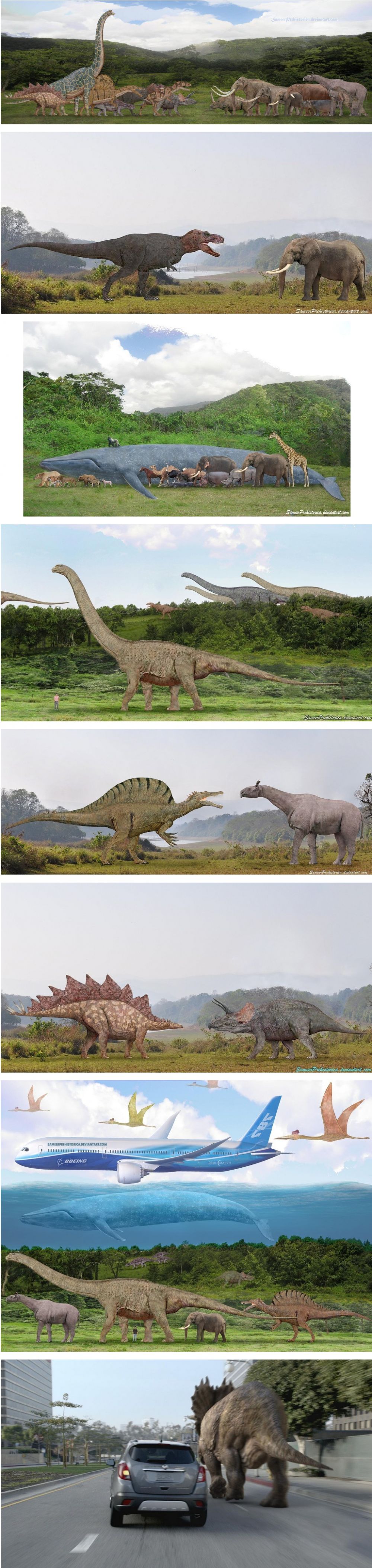 공룡 현재동물과 비교.jpg
