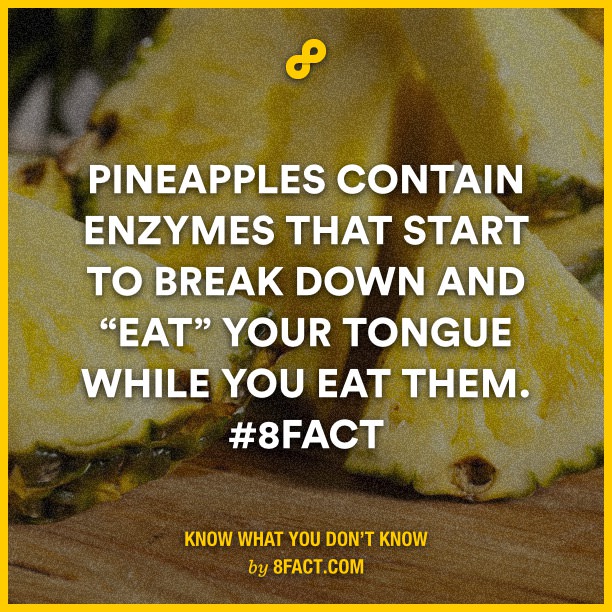 Pineapples-contain-enzymes-tha.jpg