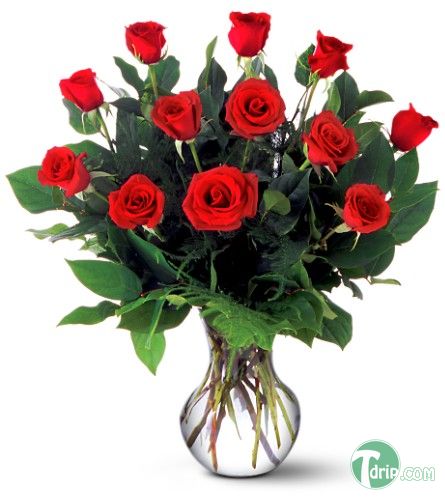크기변환_dozen-red-roses.jpg