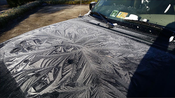 frozen-frosted-cars-31__605.jpg