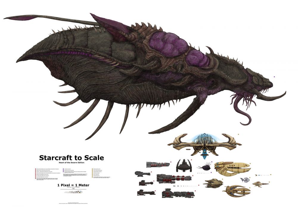 starcraft_to_scale__capital_ships_by_xiaorobear-d6vl21j.jpg