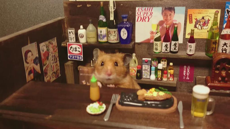hamster-shopkeepers-6_1429576926_14_7.jp