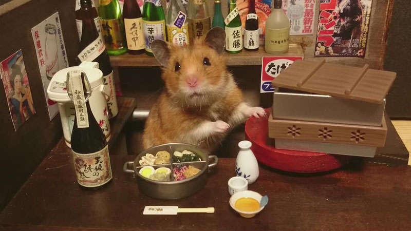 hamster-shopkeepers-7_1429576926_15_7.jp