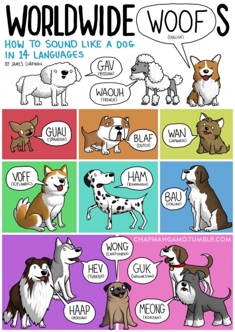Korean dogs are cats – How to sound like a dog in 14 languages