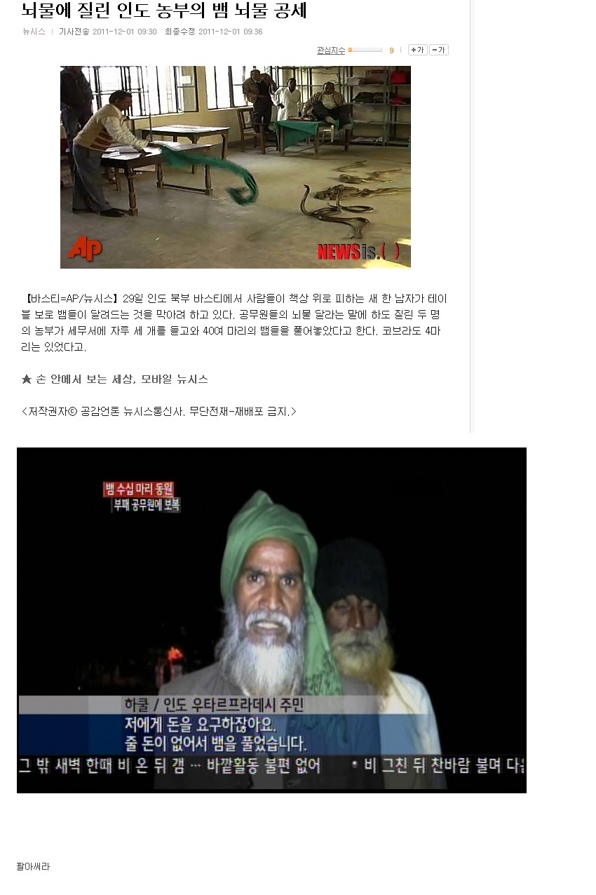 snake.jpg : 천축국의 흔한 뇌물.jpg