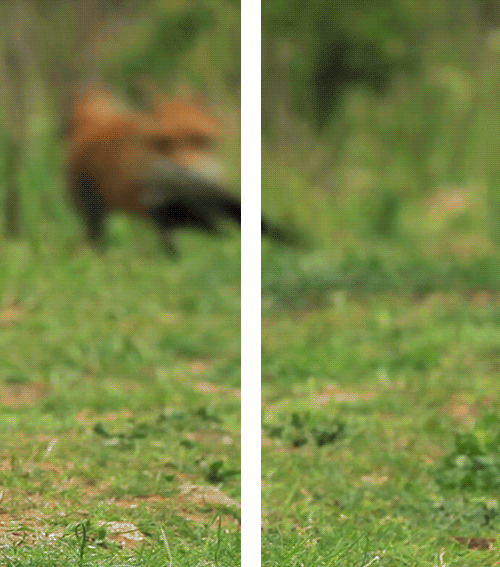 d917d737ba99b5feb07d0b7e700a4d20.gif