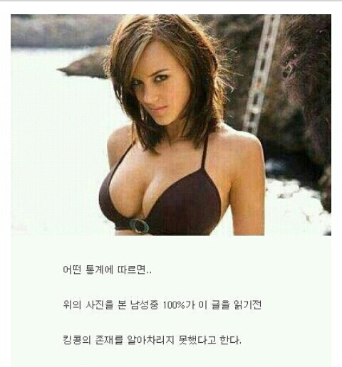 1 (3).jpg : 킹콩을 찾아라.jpg