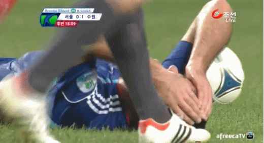 1 (1).gif : 한국 적응 완료.gif