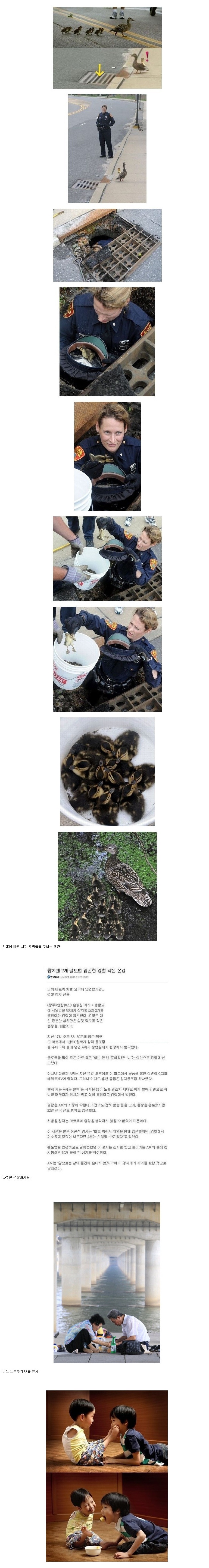 마음따듯해지는 사진들2.jpg