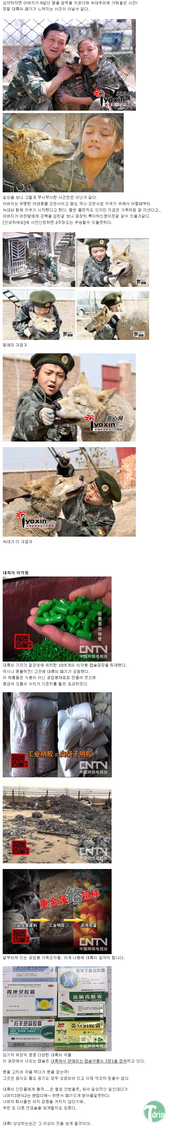 china4.png : 오늘의 대륙의 이런일이!.jpg