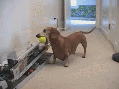 1 (1).gif : 싱글플레이.gif