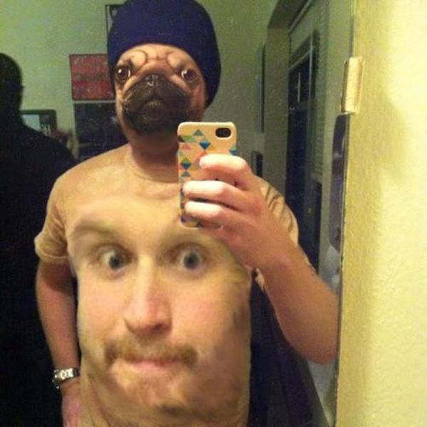 image.jpg : 얼굴바꾸기 어플 총집합. Jpg