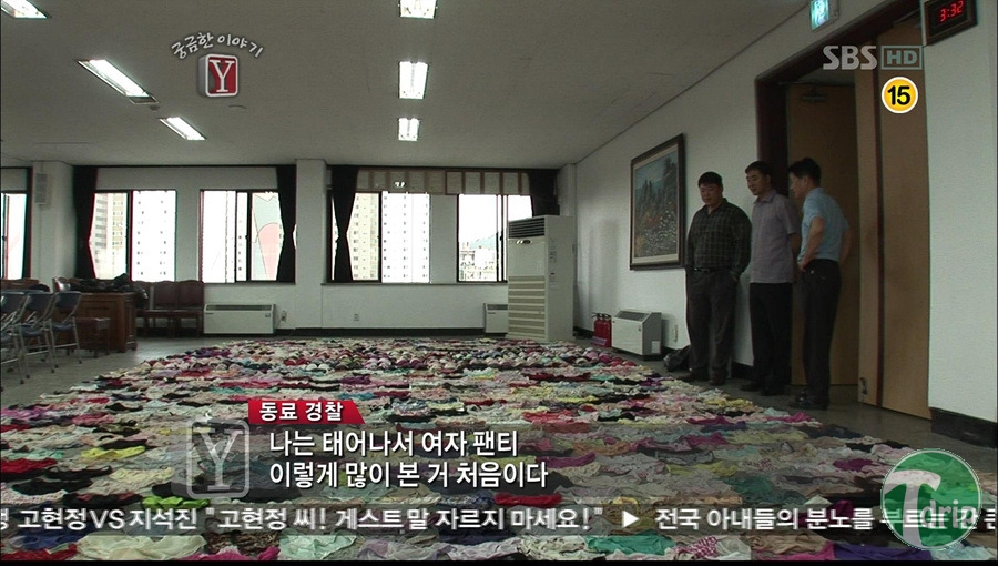 2 (3).jpg : 흔한 콜렉션 스케일.jpg