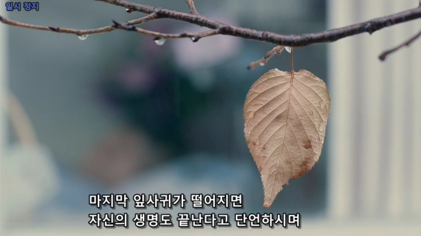 Legal High Special 2 2014 (1024x576 H.264).mp4_20160801_035716.633.jpg