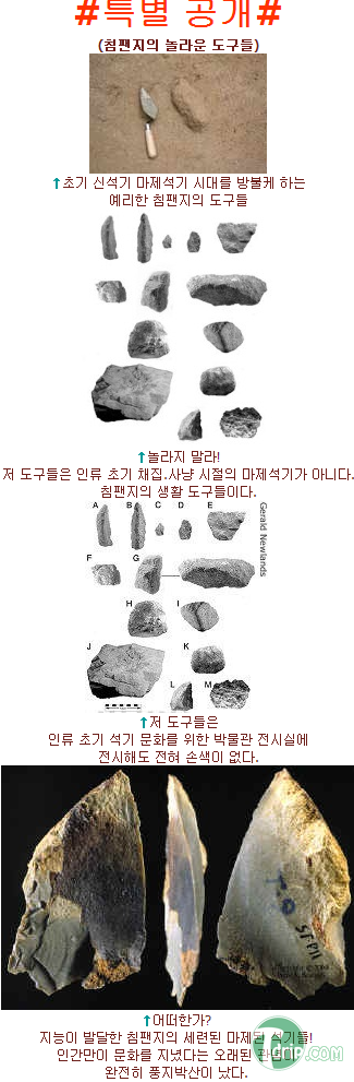 zxcxczcasf7.png zxcxczcasf7.png