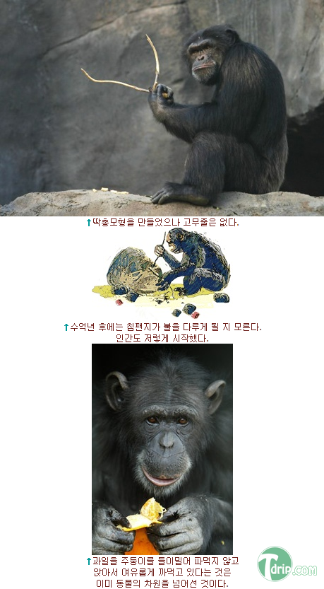 zxcxczcasf2.png zxcxczcasf2.png