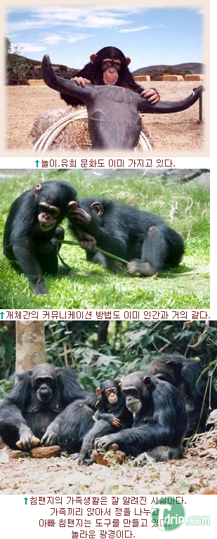 zxcxczcasf4.png zxcxczcasf4.png