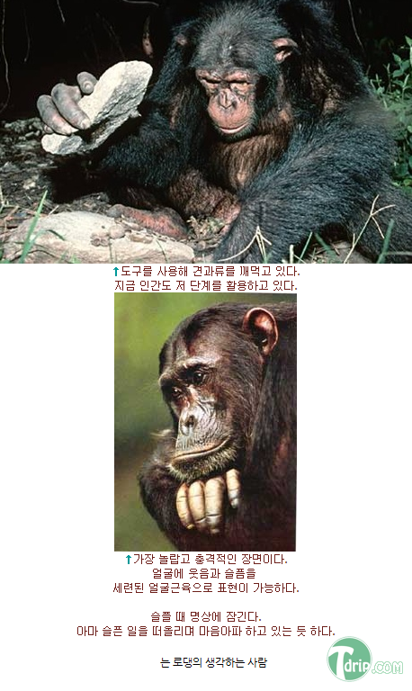 zxcxczcasf5.png zxcxczcasf5.png