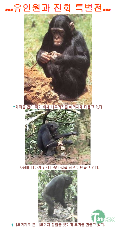 zxcxczcasf.png zxcxczcasf.png