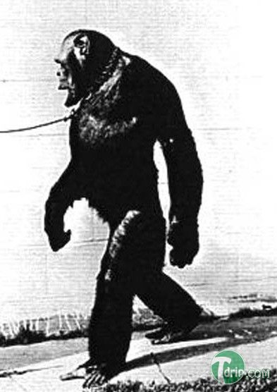 Cap_2013-11-08_16-23-58-453.jpg Cap_2013-11-08_16-23-58-453.jpg