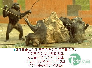 zxcxczcasf6.png zxcxczcasf6.png