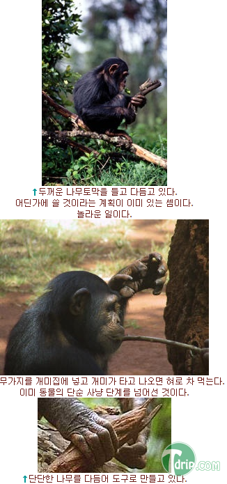 zxcxczcasf3.png zxcxczcasf3.png