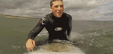 1541_3aa1.gif