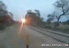 1.gif : 기차 세차방법.gif