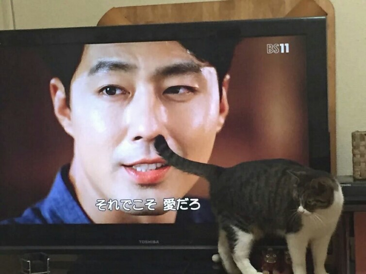 개드립 - ?? : 더 깊게 후벼줘? : d1c19e39b52b3c7ff725316a0d982c27.jpg image1.jpg