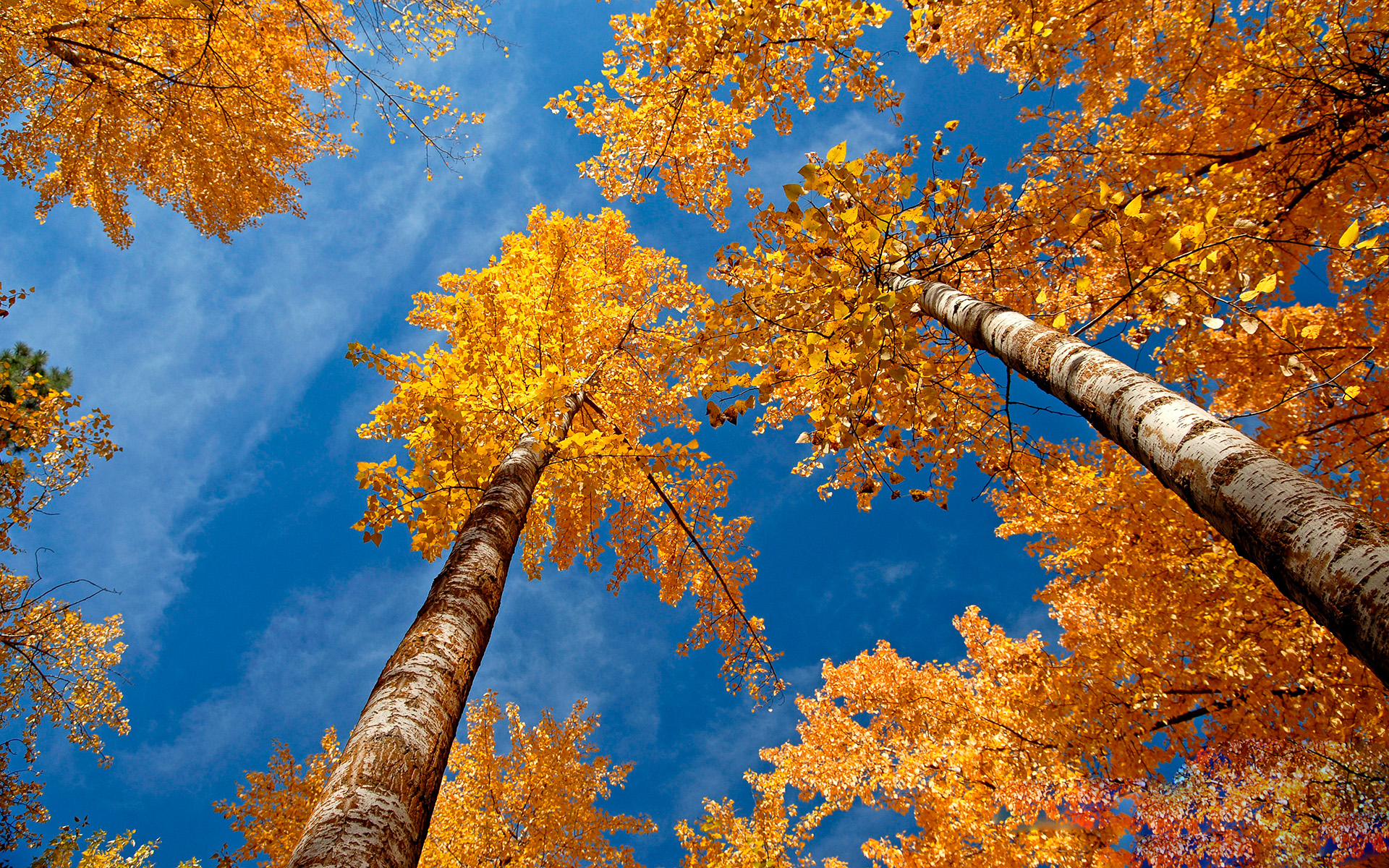 image file hosted by Snoin FileStorage(file.snoin.com)