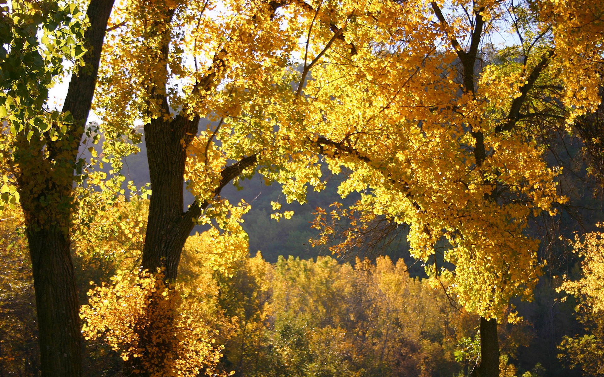 image file hosted by Snoin FileStorage(file.snoin.com)