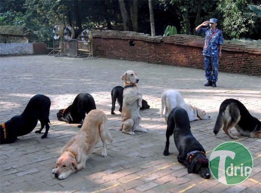 779fee1f32b45df0690d3f28923aa3e0.jpg : 골라먹는 재미.jpg