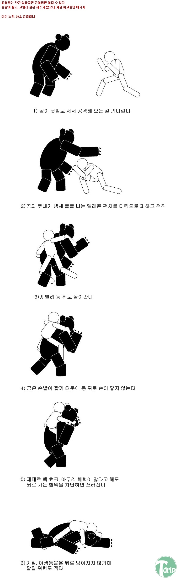 fight4.jpg : 맹수를 이기는 방법.jpg