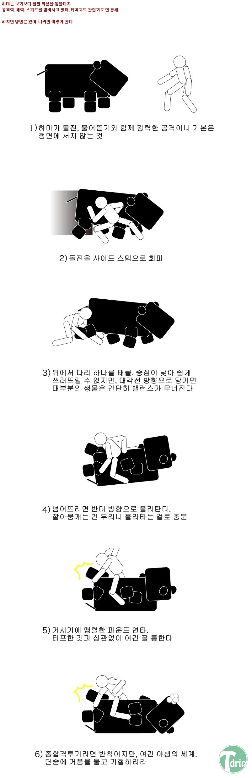 fight8.jpg : 맹수를 이기는 방법.jpg