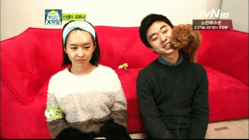 1.gif : 먹지마세요.jpg