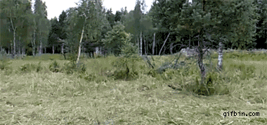 매복.gif