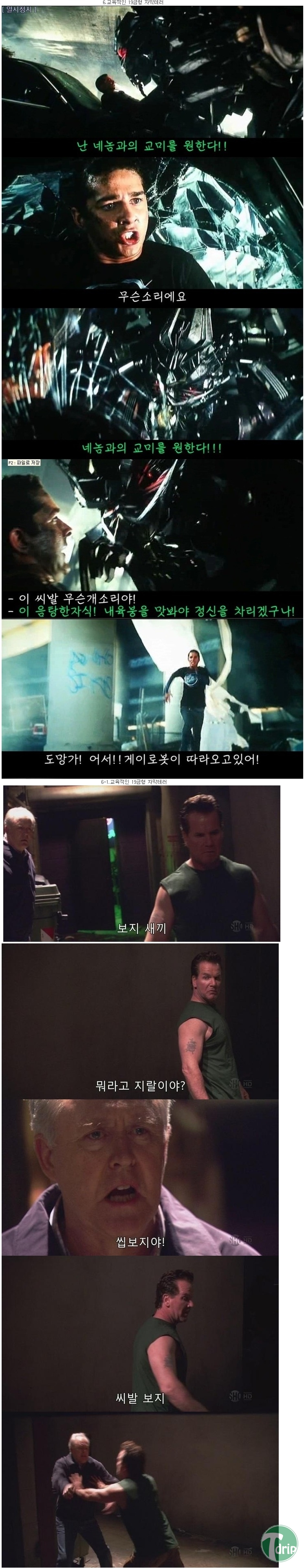 _2-1.jpg : 유형별 자막테러