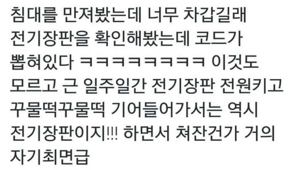 FB_IMG_1448875502932.jpg : 플라시보 甲