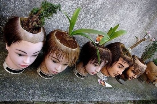image.jpg : 식물인간.jpg