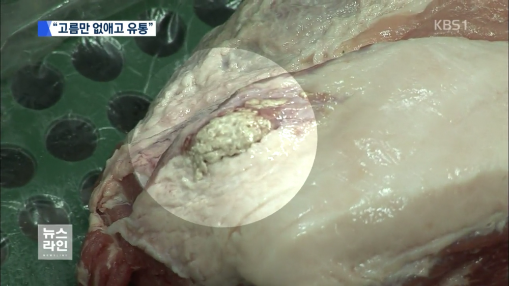 Screenshot_2015-10-28-01-48-37.png : (약혐)서울 중고딩들이 먹는 돼지고기