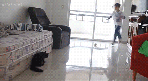1429146662_whm75Vh.gif