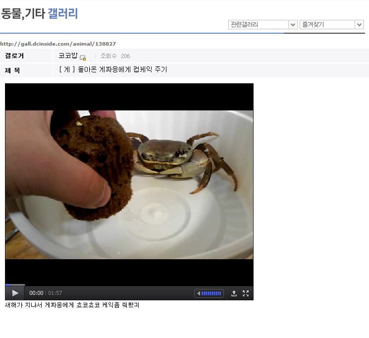 cake1.jpg : 게에게 컵게익 먹이기.jpg